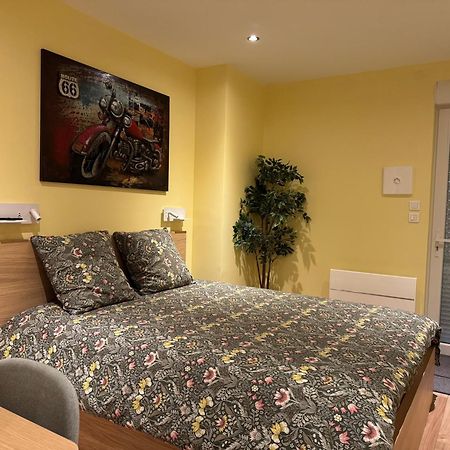 Loft Spa Reims-fr 200m2 privatifs, piscine intérieure chauffée, spa et parking Esterno foto