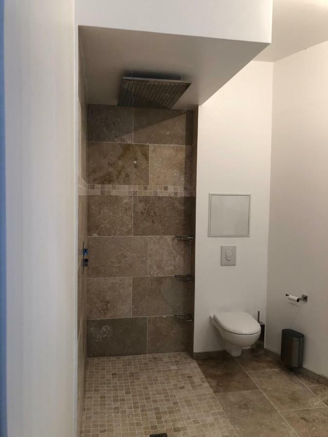 Loft Spa Reims-fr 200m2 privatifs, piscine intérieure chauffée, spa et parking Esterno foto